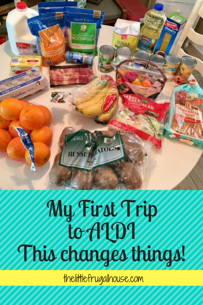 My First Trip to ALDI - This Changes Things! thelittlefrugalhouse.com