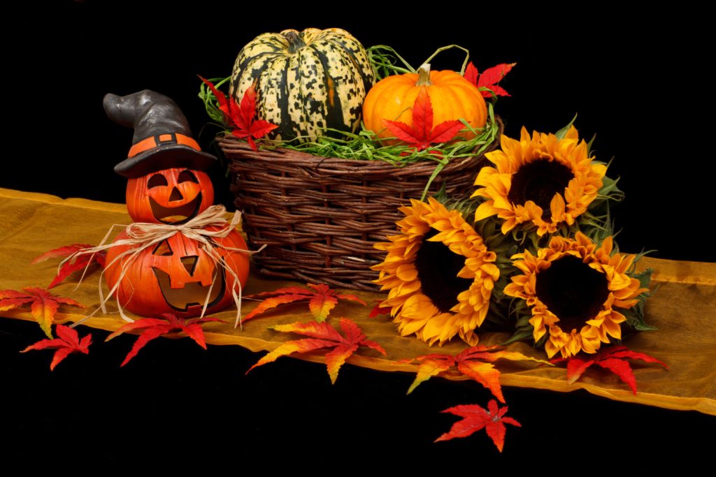 12 frugal fall date ideas to make sure you have a fun and sweet season with your special someone! Try one or all of these date ideas this fall! 