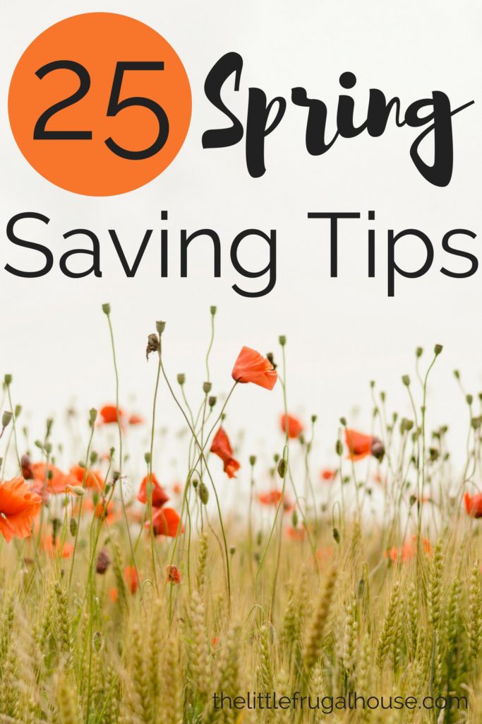 Warm weather brings a lot of to do's, fun activities, and a lot of possible budget busters. Use these 25 spring saving tips to stay in budget!
