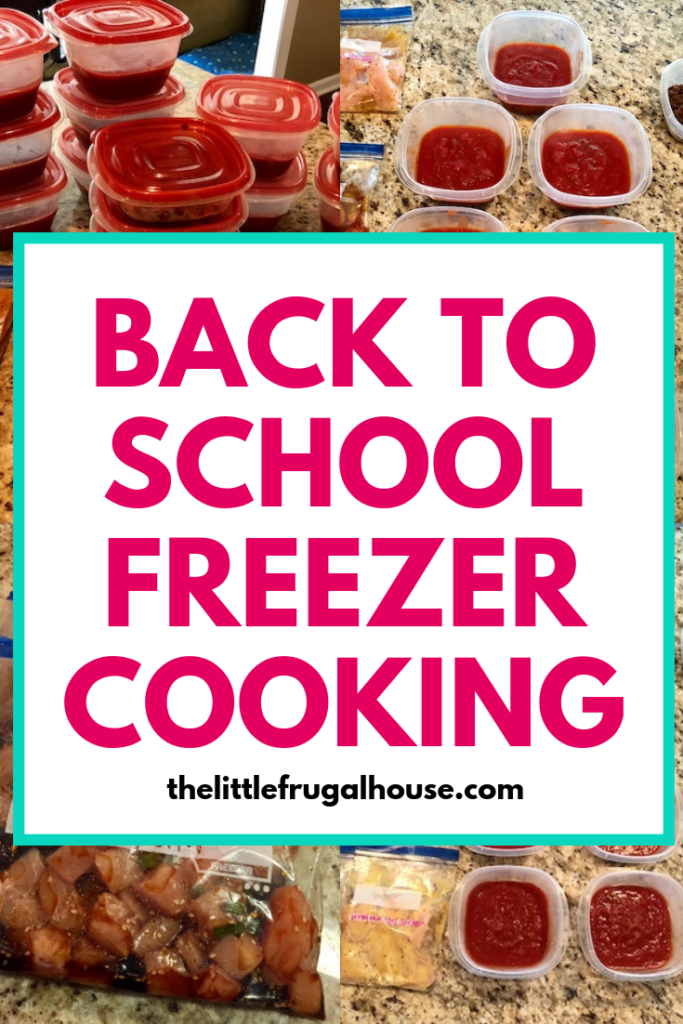 Getting ready to head back to school? Get prepared for the busy season and tackle some back to school freezer cooking to get the freezer stocked and ready. From beginner freezer cooking plans to advanced, you'll be able to fill your freezer and feed your busy family.