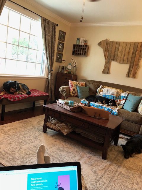 Do you have a big dream of working for yourself or working from home? I did and that dream just came true. I wanted to share my story of quitting my job to work from home to show you how we decided on this and what I'm going to be doing.