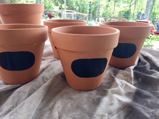 A great spring DIY project! Painted terra cotta flower pots are an easy way to update your home and garden for spring on a budget!