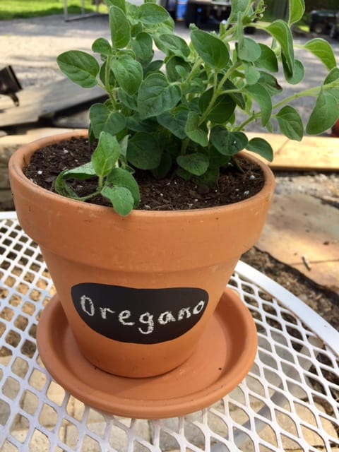 A great spring DIY project! Painted terra cotta flower pots are an easy way to update your home and garden for spring on a budget!