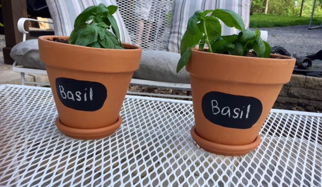 A great spring DIY project! Painted terra cotta flower pots are an easy way to update your home and garden for spring on a budget!