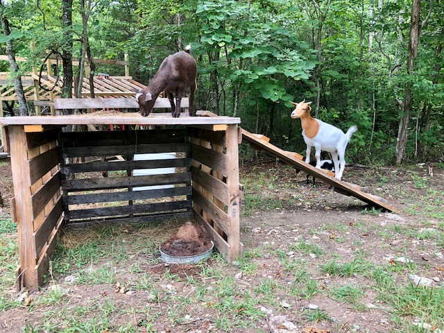 8 DIY Goat Shelter Plans You Can Build Today: Goat Playhouse and Shelter