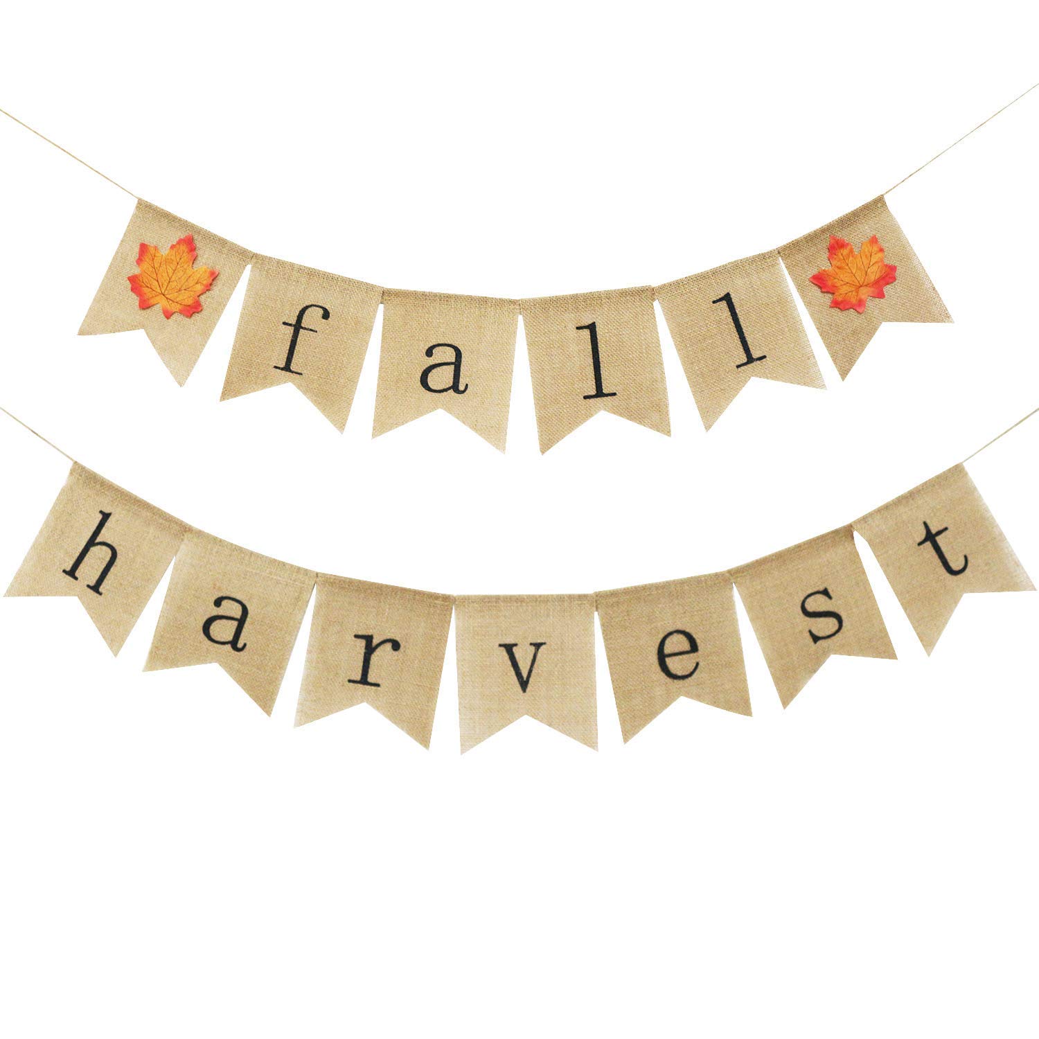 Best Fall Décor Ideas Under $20 - The Little Frugal House