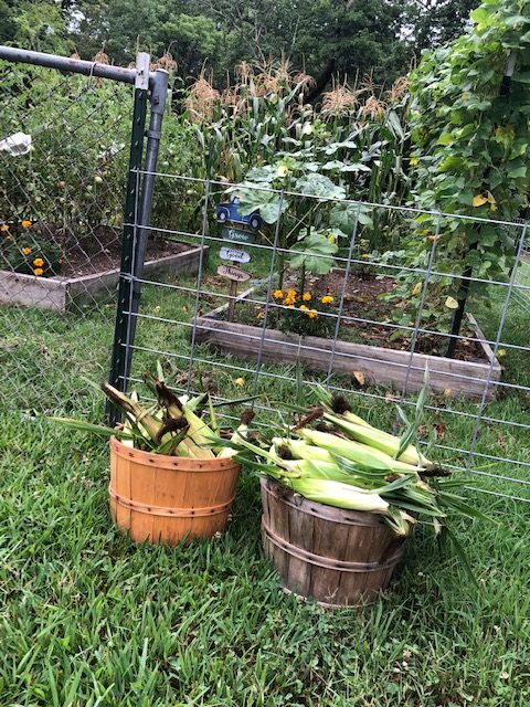 
Read these 8 ways to save on produce to feed your family healthy dinners and save money on your grocery bill. Aldi and Kroger have great produce deals.

