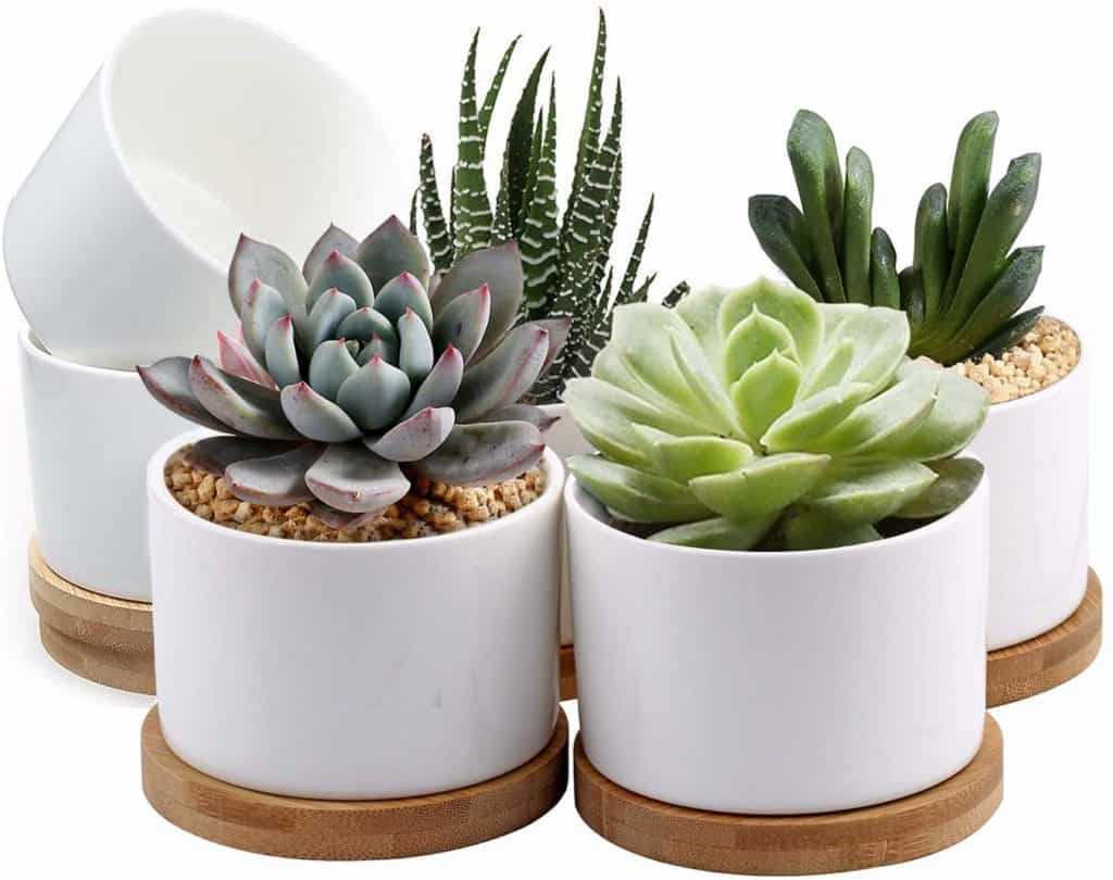 Mother's Day gift ideas all under $30 perfect for mom, mother in laws, daughters, sisters, friends, Grandma, and new Moms.