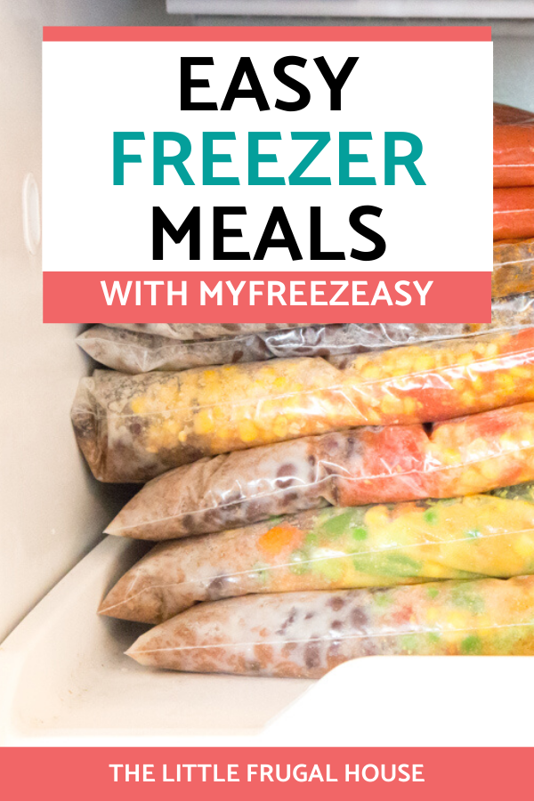Learn how to make easy freezer meals to stock the freezer with MyFreezEasy, a budget friendly, easy freezer meal plan database with great recipes.