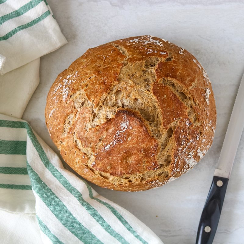 Make your own bread with these easy homemade bread recipes today. No knead, no yeast, flatbread, wheat, white, rolls, and dutch oven recipes!