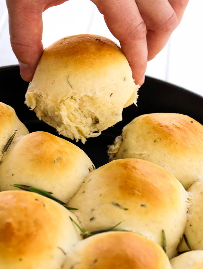 Make your own bread with these easy homemade bread recipes today. No knead, no yeast, flatbread, wheat, white, rolls, and dutch oven recipes!