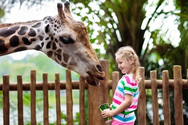 Give experiences instead of gifts with these creative non gift ideas for Christmas perfect for all ages from kids to families to parents and grandparents.