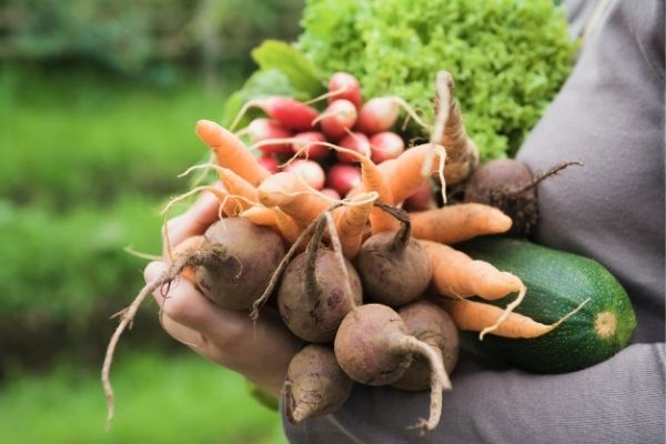 Looking for cheap foods and budget meal ideas? Check out this list of 20 frugal things to eat on a tight budget so you can eat great and save money!