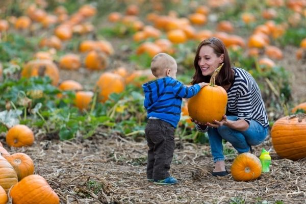 Try these ideas for Halloween fun on a budget! 10 frugal family Halloween ideas and activities: reading fall and Halloween books, painting pumpkins, DIY crafts