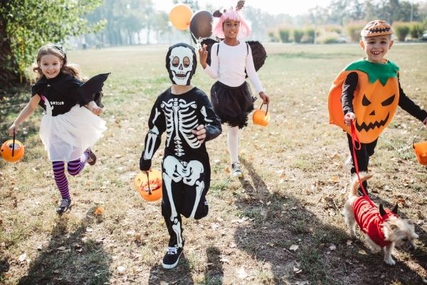 Try these ideas for Halloween fun on a budget! 10 frugal family Halloween ideas and activities: reading fall and Halloween books, painting pumpkins, DIY crafts