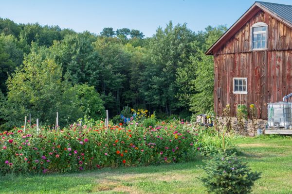 A Sample Plan to Make $500 a Month
Here is one possible income combination for a small homestead:
Eggs: $80 per month
Sell 20 dozen eggs per month at $4 per dozen.
Gross income: $80
Bread: $200 per month
Sell 10 loaves of sourdough bread each week at $5 per loaf.
Gross monthly income: approximately $200
Seasonal Produce and Herbs: $120 per month
Sell herbs, vegetables, and flowers from a small farm stand or local market.
Gross income: $120
Homemade Soap or Value-Added Products: $100 per month
Sell homemade soap, dried herbs, small gift sets, or another value-added product.
Gross income: $100
Total Gross Income: $500 per month
This example uses several manageable revenue sources instead of depending on one product. Your expenses will vary, so track gross sales and actual profit separately.