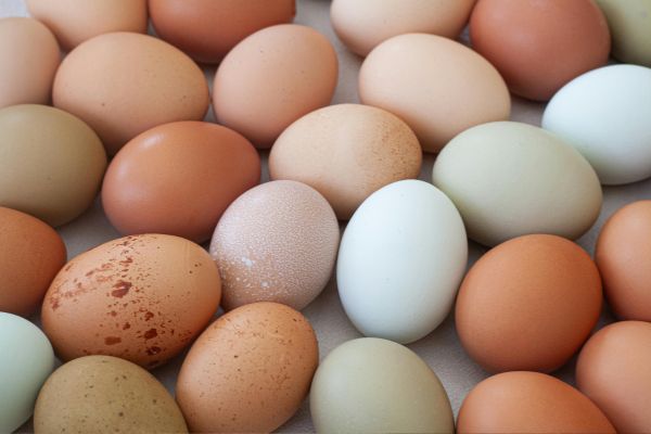 A Sample Plan to Make $500 a Month
Here is one possible income combination for a small homestead:
Eggs: $80 per month
Sell 20 dozen eggs per month at $4 per dozen.
Gross income: $80
Bread: $200 per month
Sell 10 loaves of sourdough bread each week at $5 per loaf.
Gross monthly income: approximately $200
Seasonal Produce and Herbs: $120 per month
Sell herbs, vegetables, and flowers from a small farm stand or local market.
Gross income: $120
Homemade Soap or Value-Added Products: $100 per month
Sell homemade soap, dried herbs, small gift sets, or another value-added product.
Gross income: $100
Total Gross Income: $500 per month
This example uses several manageable revenue sources instead of depending on one product. Your expenses will vary, so track gross sales and actual profit separately.